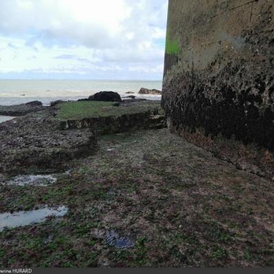 Chantier du siècle du Fort Boyard (année 2023)