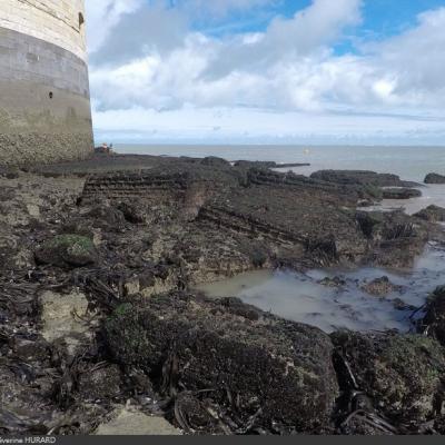 Chantier du siècle du Fort Boyard (année 2023)