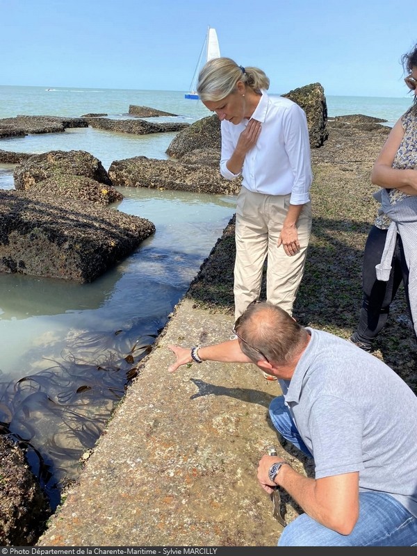 Chantier du siècle du Fort Boyard (année 2024)