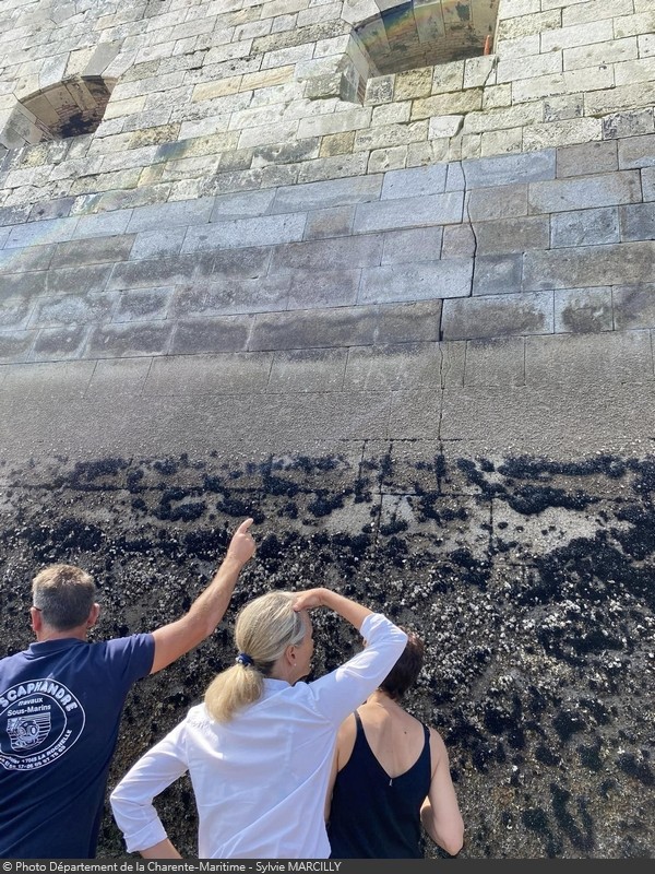 Chantier du siècle du Fort Boyard (année 2024)